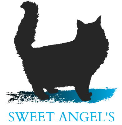 Sweet Angel’s logója